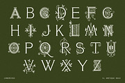Ornate Botanical Drop Cap Font No15, a Serif Font by Century Library (Thumbnail 3 of 5)