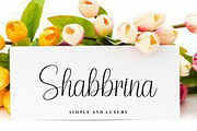 Wedding Memories, a Handwritten Font by FreshTypeINK (Thumbnail 3 of 8)