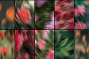 Drifting Blooms, a Background Graphic by Dina Mae (Thumbnail 5 of 12)