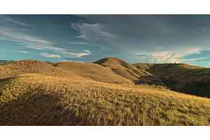 Golden hills covering Sumba Island, a Nature Photo by Goinyk