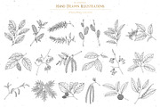 Branches, Leaves and Berries Vol. 2, a Seasonal Illustration by GVGraphics (Thumbnail 7 of 12)