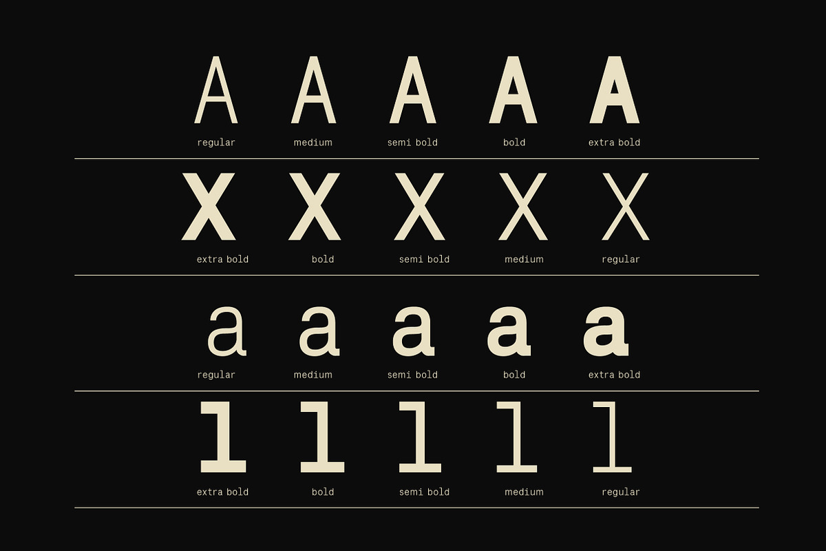 Lenia Mono | Intro 50% OFF, a Sans Serif Font by Lettertype Studio (Photo 2 of 14)