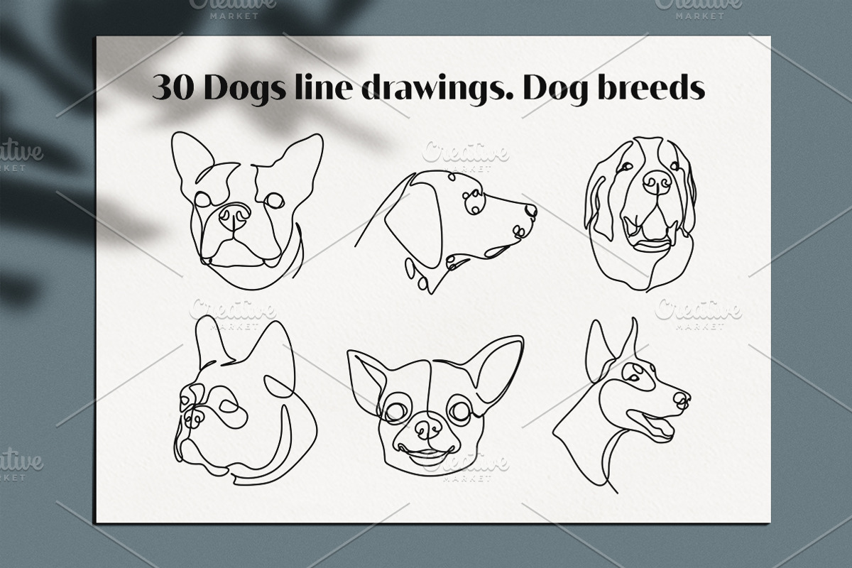 30 Dogs line drawings. Dog breeds, an Outline Icon by velychko.ua (Photo 8 of 9)