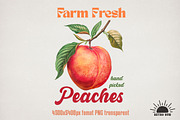 Vintage Fruits Sublimation Bundle, an Object Graphic by GlitterCraft (Thumbnail 9 of 21)