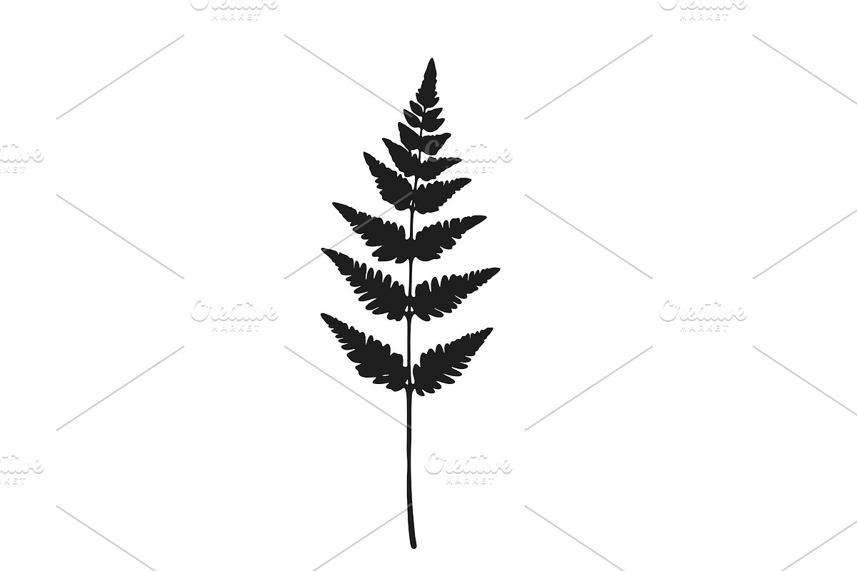 Botanical bundle - svg, png, a Decorative Illustration by Watercolor_Vector Graphic (Photo 15 of 26)