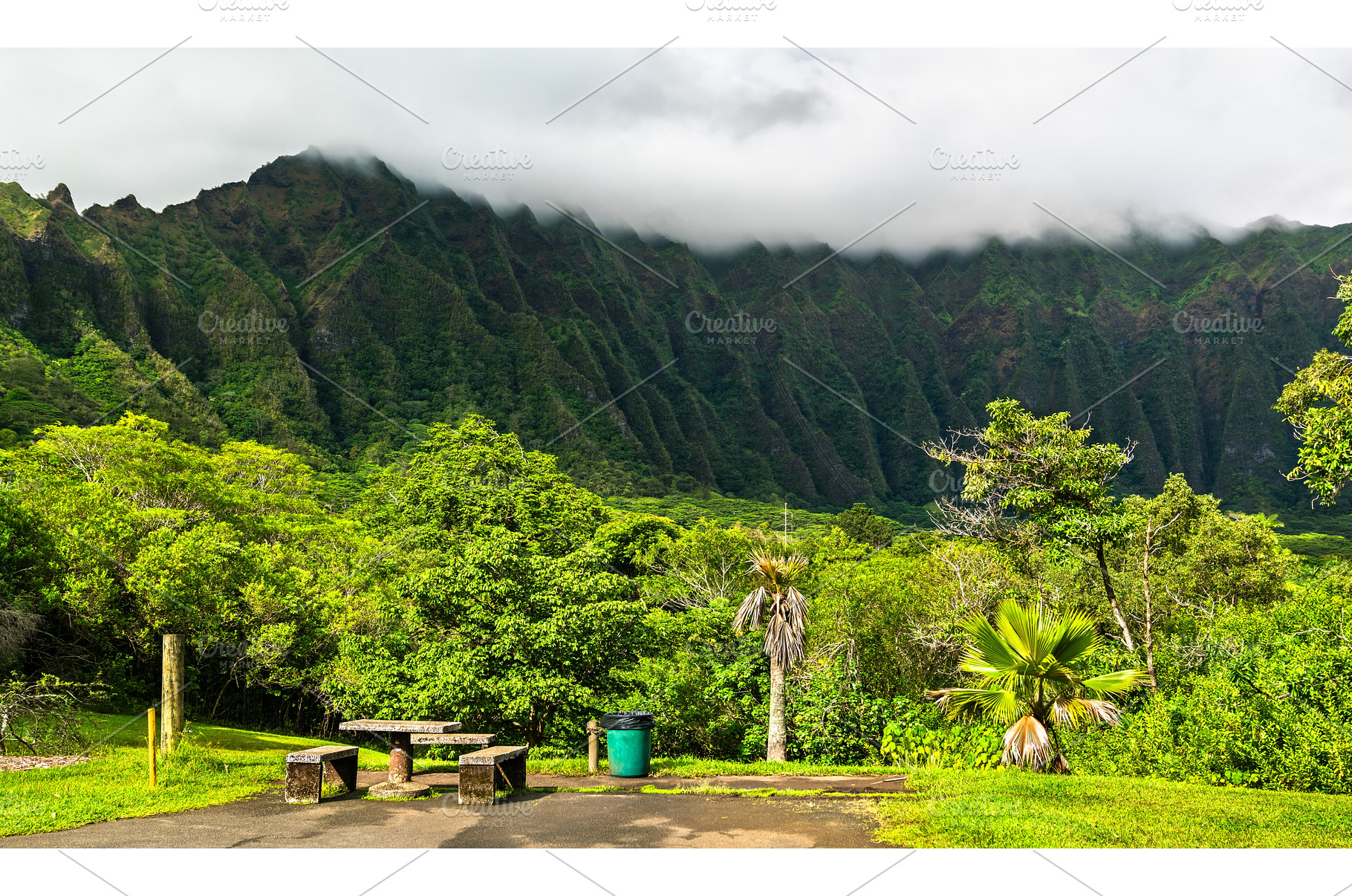 Ho'omaluhia Botanical Garden with, a Nature Photo by Leonid Andronov