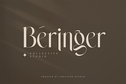 Wastogi Beautiful Serif, a Serif Font by Creatype Studio (Thumbnail 3 of 10)