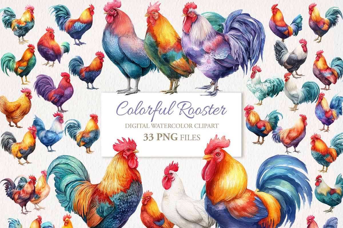 Rooster Watercolor Clipart 33 PNG, an Animal Illustration by EleSArtDesign (Photo 1 of 4)