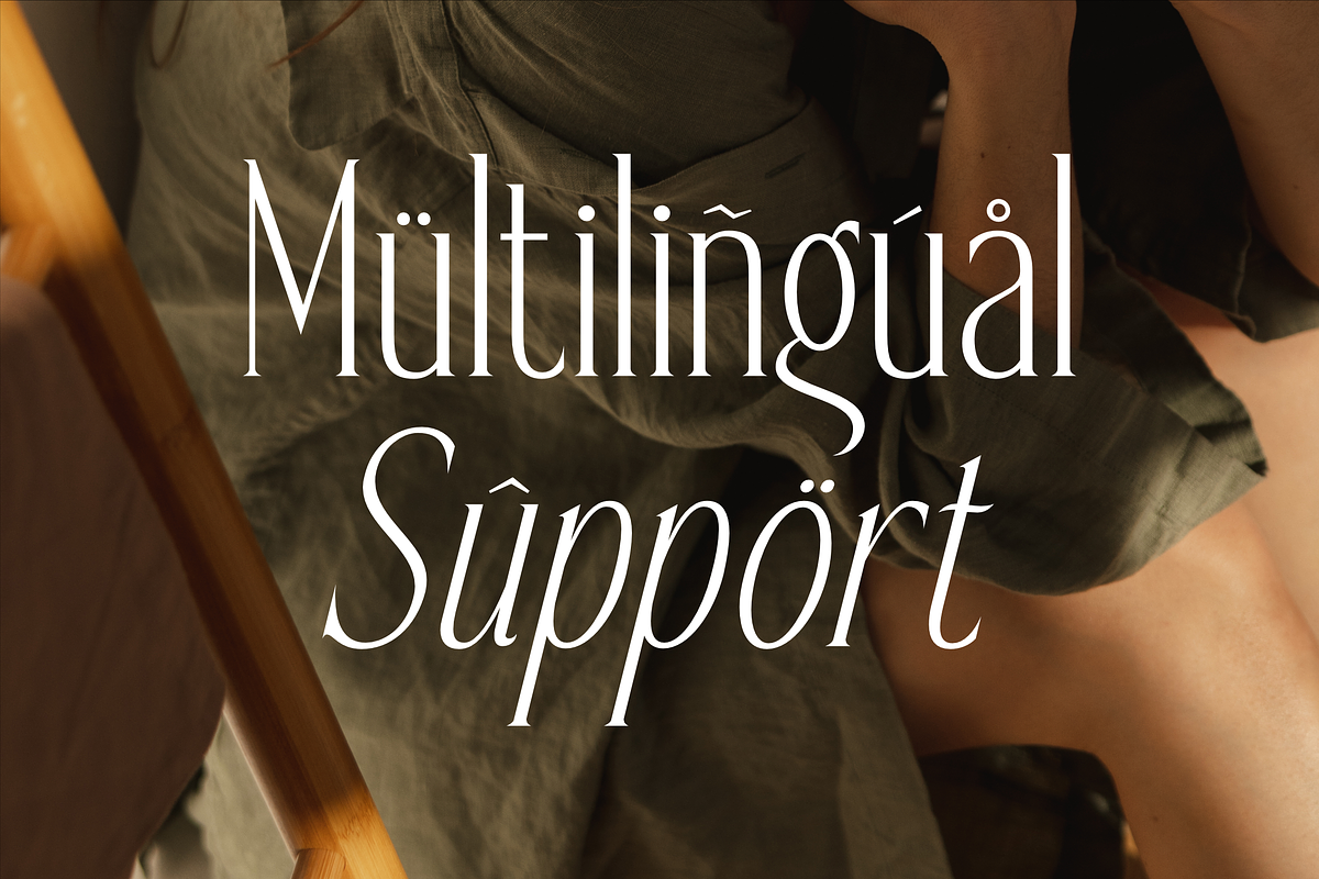 Gadnesh Meteora A Modern Serif, a Serif Font by Storytype Studio (Photo 12 of 15)