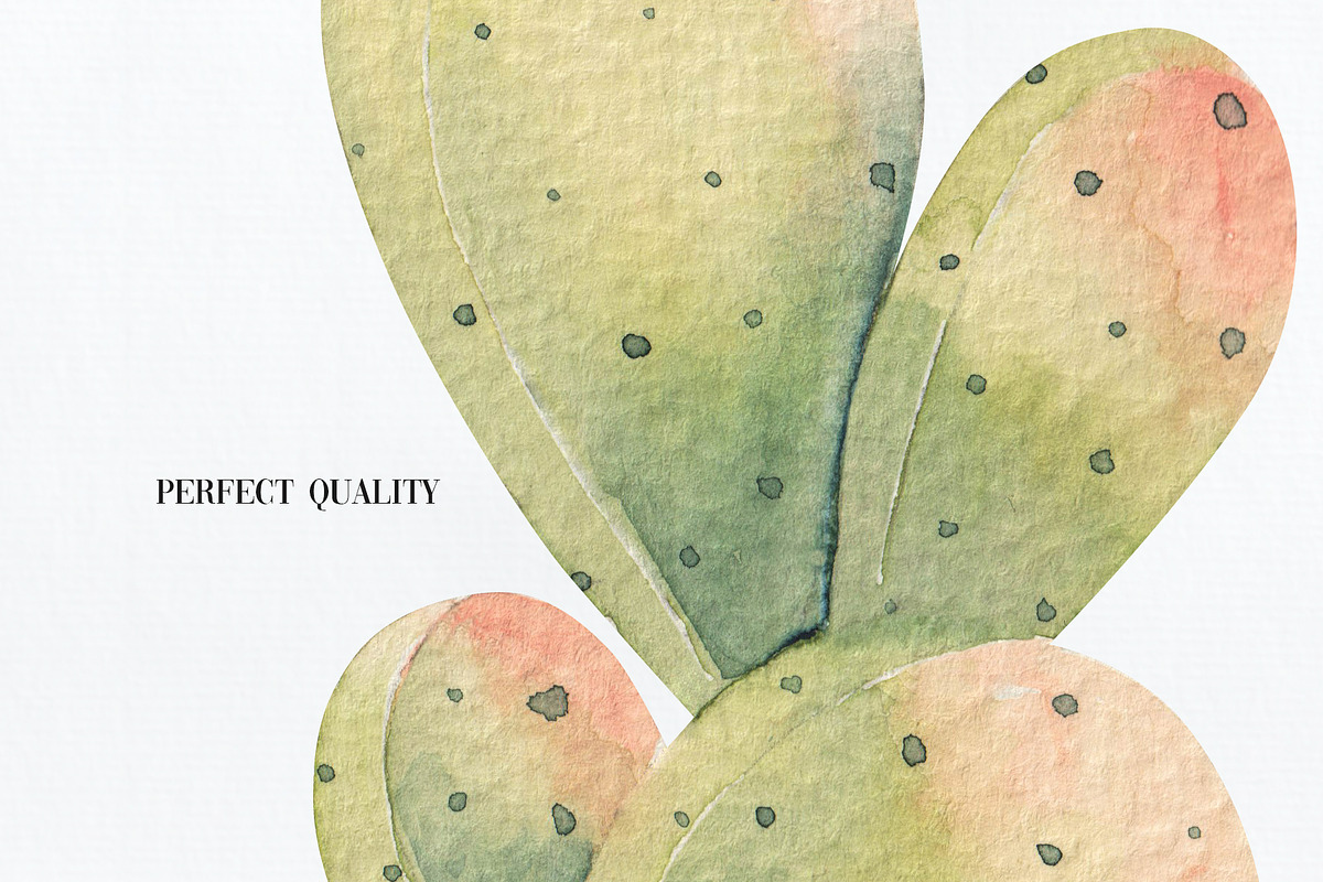 Cacti watercolor collection, an Object Illustration by Skliarova (Photo 10 of 10)