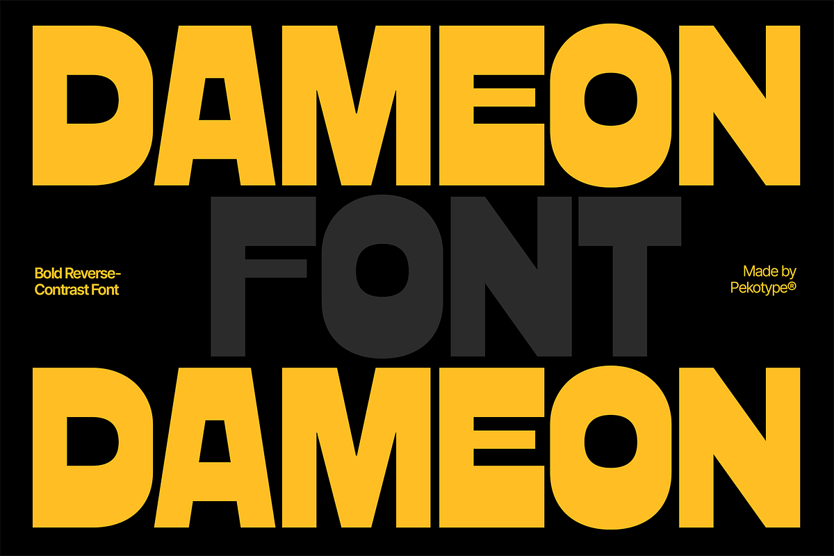 Dameon - Bold Reverse Contrast Font, a Sans Serif Font by Pekotype (Photo 1 of 16)