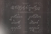Forged Lace Romantic Gothic Font, a Script Font by AnMark (Thumbnail 11 of 12)
