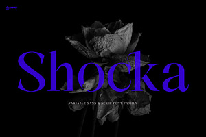 Shocka Variable Family