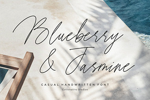 Blueberry & Jasmine - Casual Font