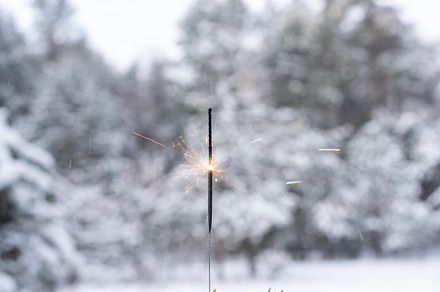 Winter landscape with sparkler on foreground of the snow in the pine forest., a Background Photo by andreonegin market