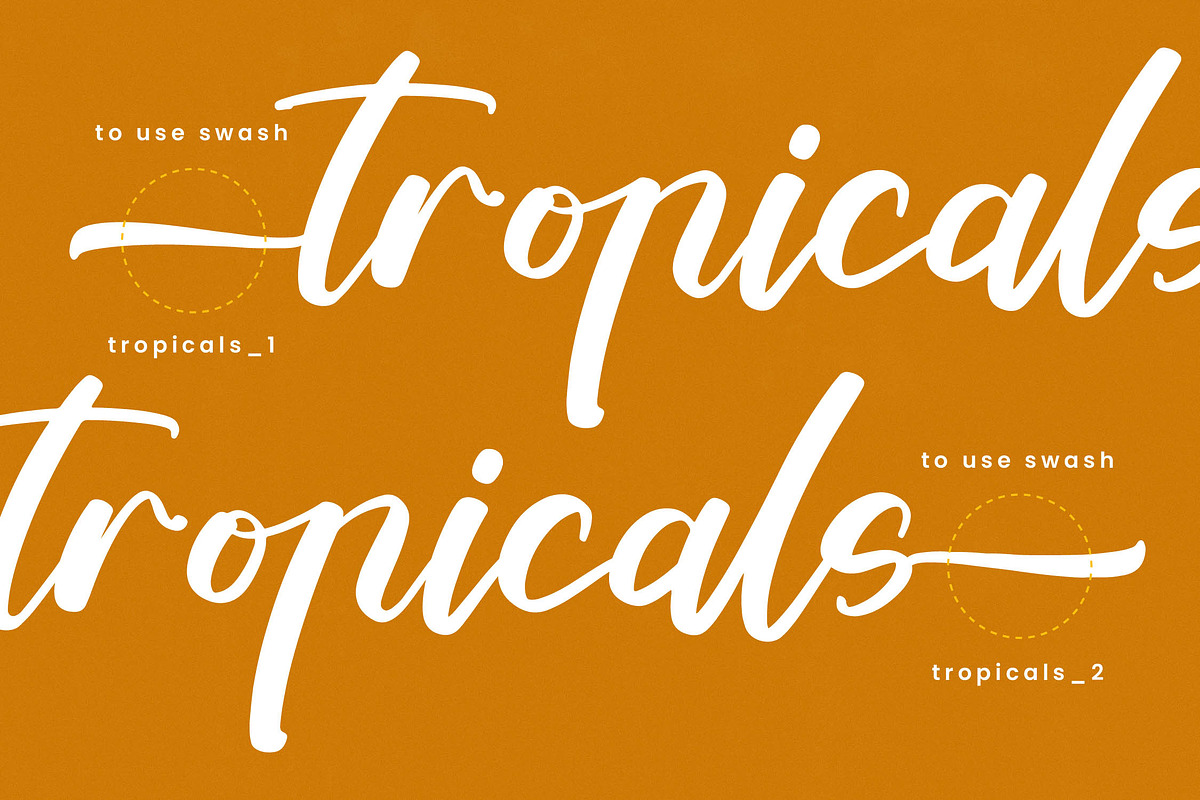 Tropical Crystals Bold Calligraphy, a Script Font by stylishtype.co (Photo 7 of 20)