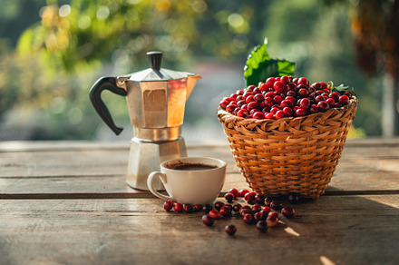 Coffee cherry beans in a basket placed on a wooden table, a Food & Drink Photo by Art Rachen