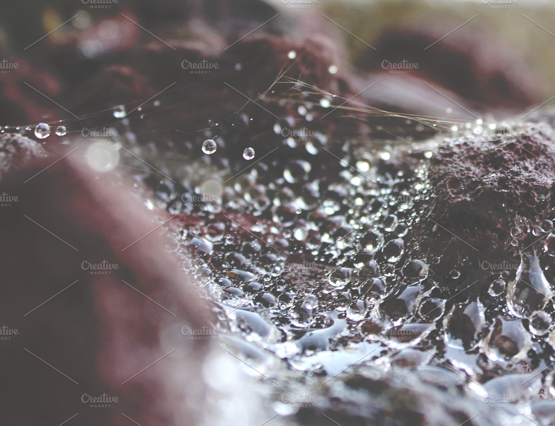 Droplets containing water, waterdrop, and spider web