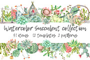Succulent and Cactus collection, an Illustration by IvanFet (Thumbnail 1 of 10)