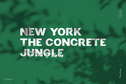 THE VINE DISPLAY FONT, a Sans Serif Font by Luxima (Thumbnail 7 of 7)