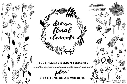 Hand Sketched Floral Elements