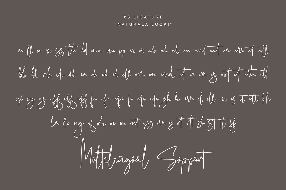 Fashion Signature, a Script Font by Letterara (Photo 9 of 10)