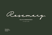 Sabiyan Script, a Script Font by Get Studio (Thumbnail 4 of 9)