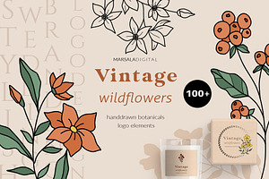Wildflowers Botanical Line Art, an Illustration by Kaya Fonts