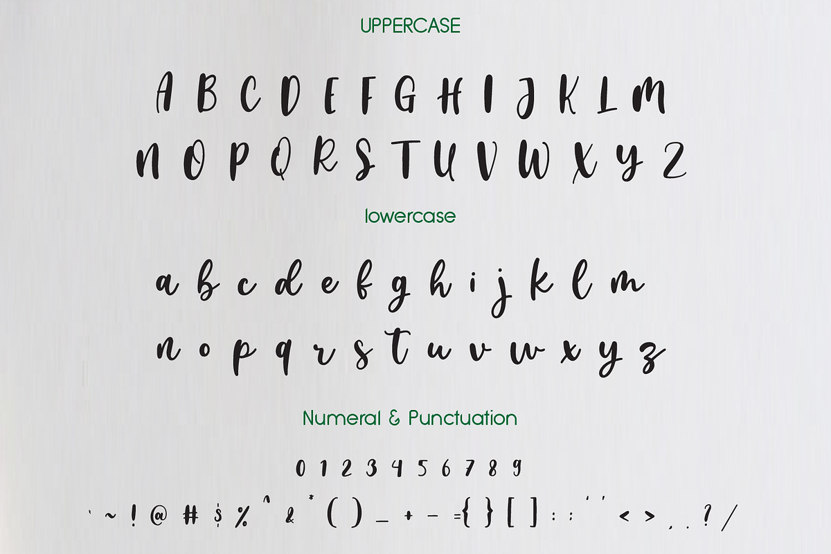 Bestiy  Script, a Script Font by adelaide (Photo 2 of 4)