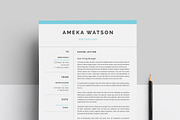 Resume, a Resume Template by paulresume (Thumbnail 3 of 3)