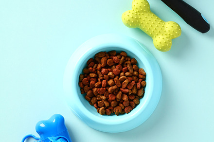 Bowl of dry pet food, pet toys and accessories on blue background.