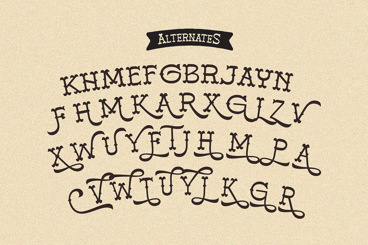 Blank Gunshot - Western Slab Serif, a Slab Serif Font by Novitype (Photo 13 of 13)