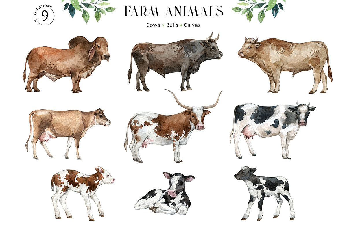 FARM ANIMALS Encyclopedia, an Animal Illustration by Anastezia Luneva (Photo 3 of 14)
