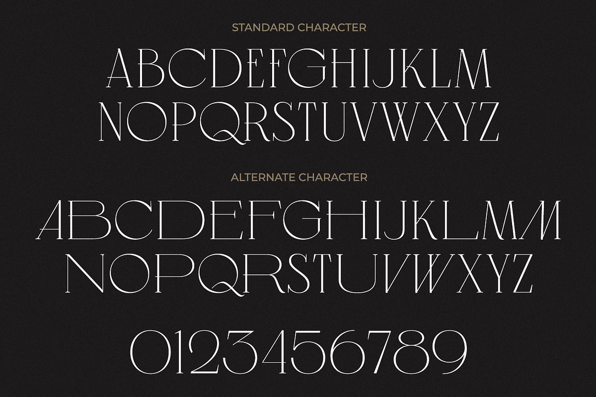 Regas Classic Display Serif Font, a Serif Font by Kulokale (Photo 6 of 10)