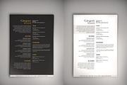 Noir and Blanc CV (DOC + PSD), a Resume Template by Valeur Design (Thumbnail 2 of 4)