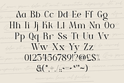 Acne - Modern Branding Typeface, a Serif Font by Sohel Studio (Thumbnail 10 of 11)