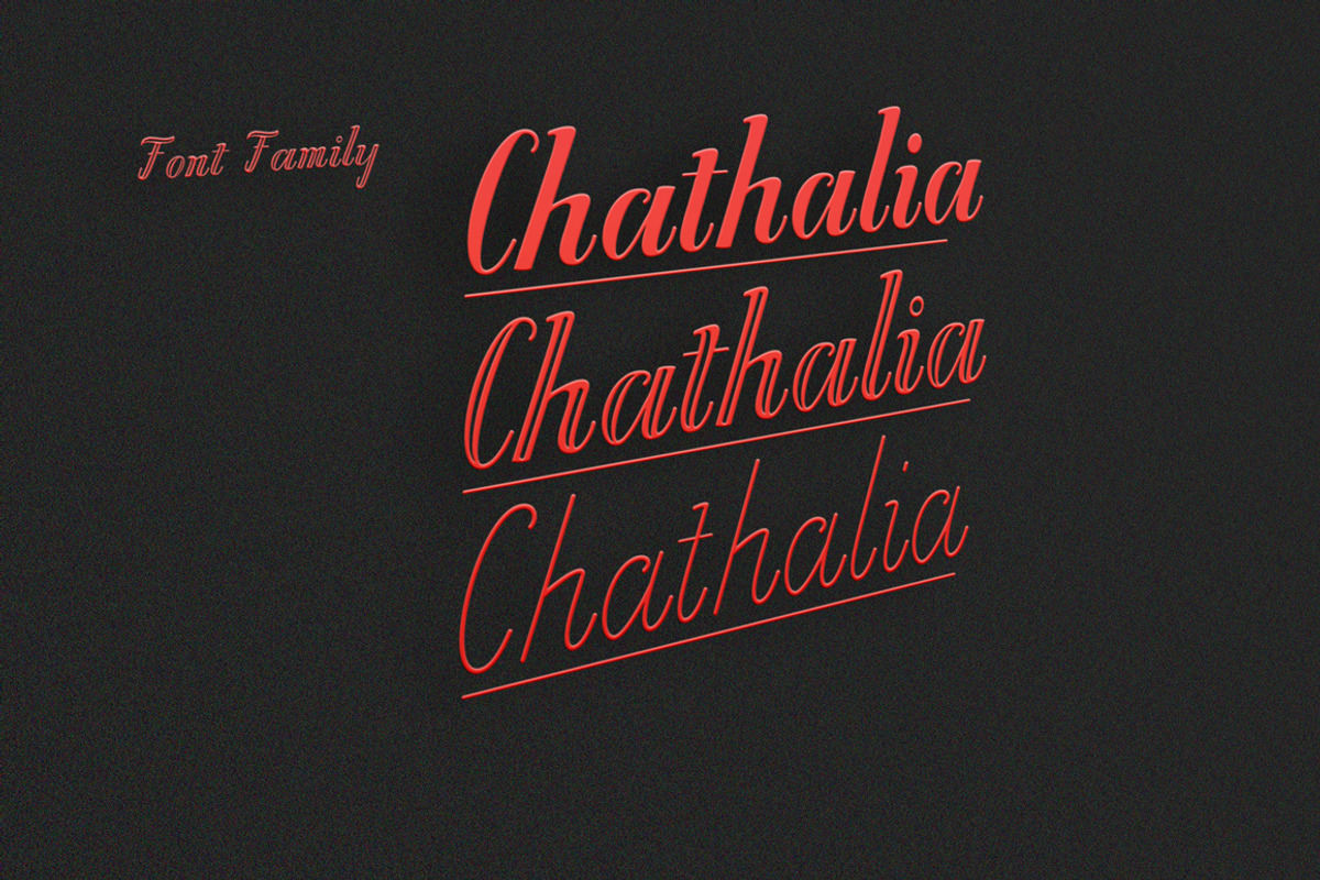 Chathalia Font Family, a Serif Font by danti (Photo 2 of 7)