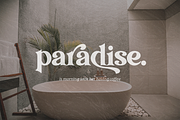 Transcity - A Playful Serif, a Serif Font by Dharmas Foundry (Thumbnail 9 of 16)