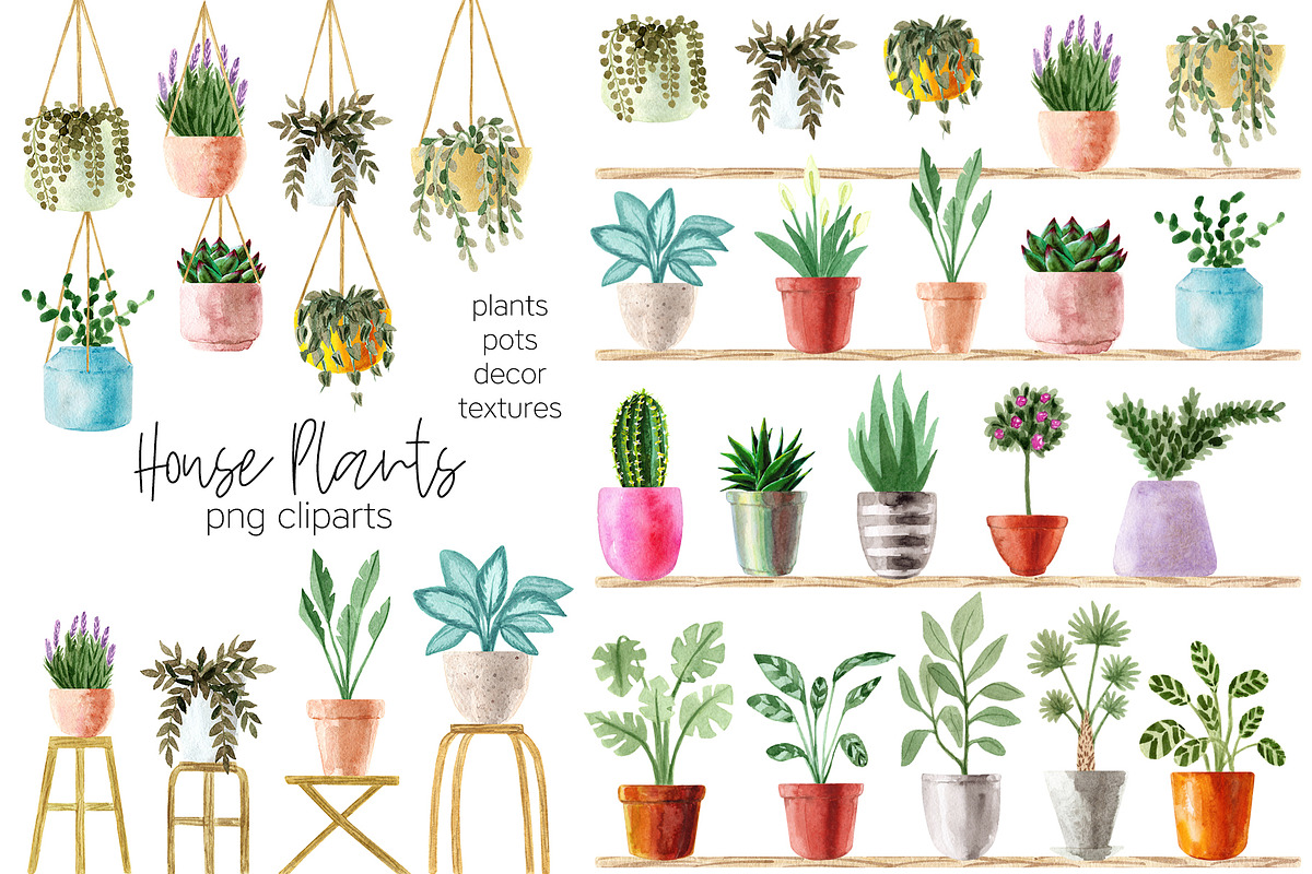 Watercolor House Plant. Urban Jungle, a Decorative Illustration by Slastick (Photo 2 of 5)