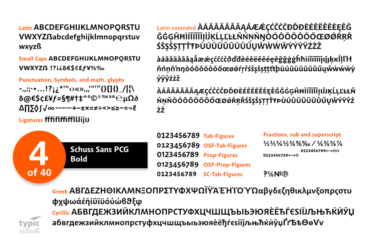 SchussSansPCGBold No.04 (1 Font) preview 3