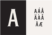 Winston Typeface, a Serif Font by Bebop Font Foundry (Thumbnail 5 of 5)