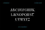 Rimogles Modern Serif Font, a Serif Font by UICreative (Thumbnail 7 of 12)