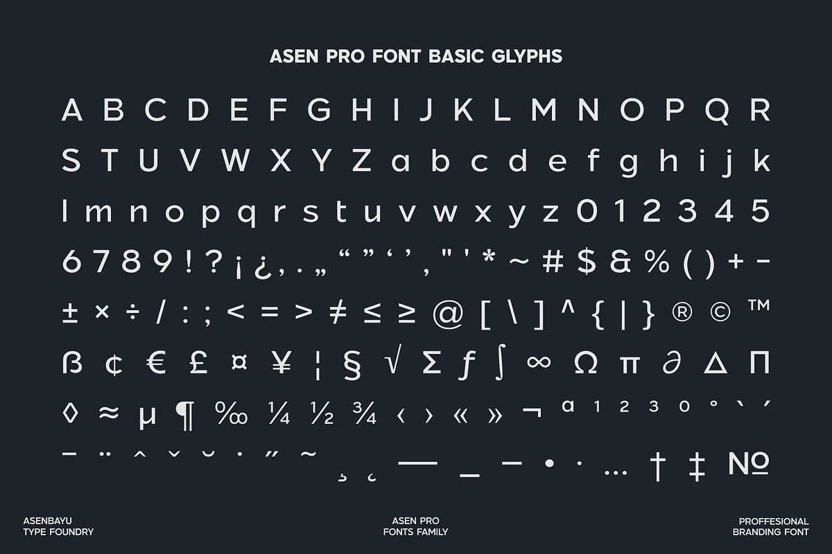 Asen Pro Fonts Family, a Sans Serif Font by Asenbayu (Photo 13 of 15)