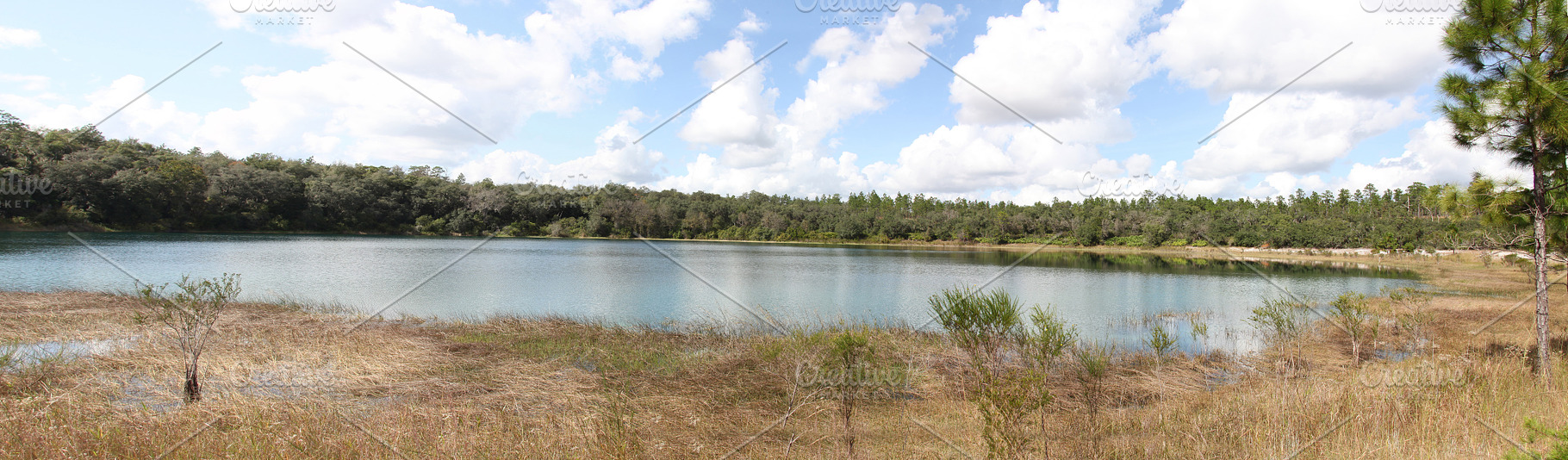 Lake in Gold Head Branch State Park, a Nature Photo by Viktor