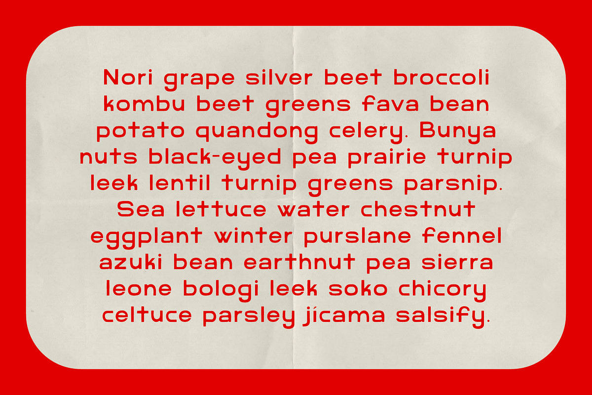 Rebel - An Imperfect Sans Serif, a Sans Serif Font by Like Magic Studio (Photo 9 of 10)