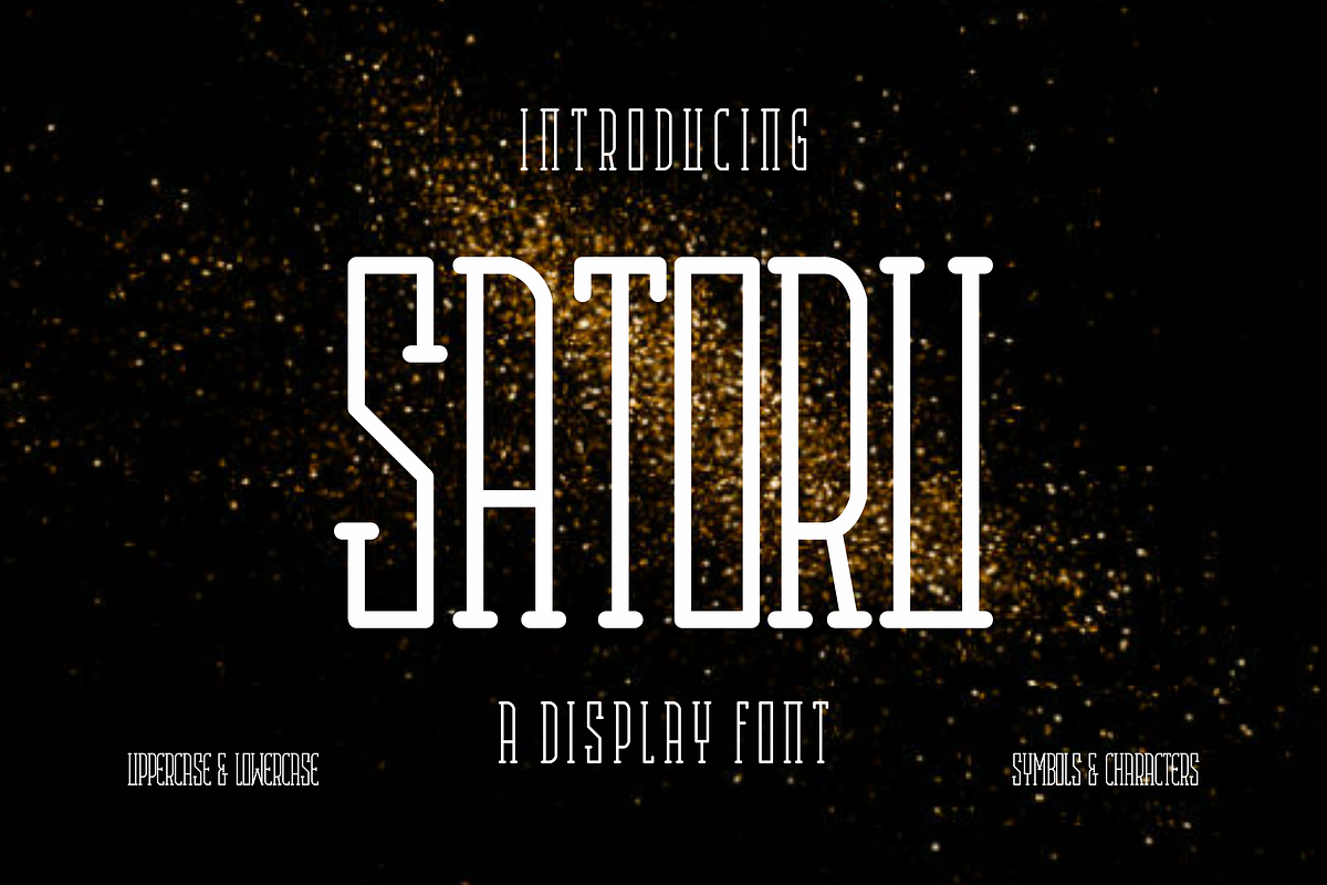 Satoru, a Serif Font by lelevien (Photo 1 of 5)