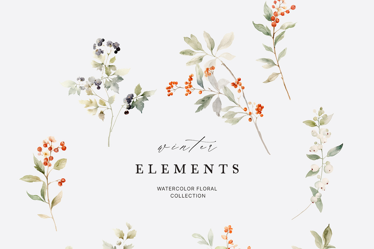 FLORAL WINTER BOX Watercolor Bundle, a Seasonal Illustration by Muse Artist (Photo 39 of 95)