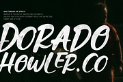 Lyong Outsider | Hand Drawn Brush, a Handwritten Font by Denustudios (Thumbnail 2 of 13)