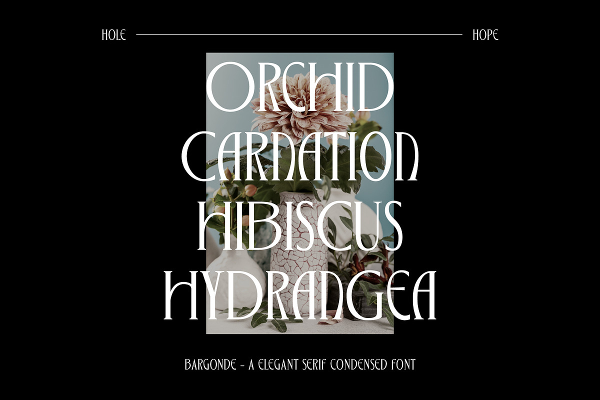 Bargonde | Elegant Serif Condensed, a Serif Font by Hole Hope Design (Photo 16 of 20)
