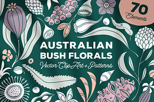 Australian Bush Florals Vector Set